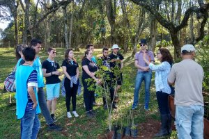 Cronograma semanal de ações de infraestrutura nos Bairros, Interior e Escolas do Município