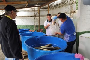 Definidos dias e valores da Feira do Peixe 2023
