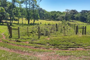 Prefeitura faz a&ccedil;&atilde;o de prote&ccedil;&atilde;o de nascentes