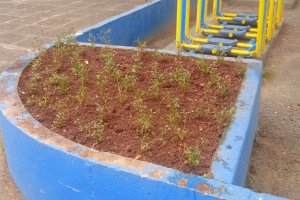 Cronograma semanal de a&ccedil;&otilde;es de infraestrutura nos Bairros, Interior e Escolas do Munic&iacute;pio