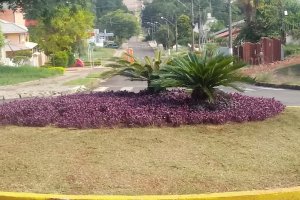 Cronograma semanal de ações de infraestrutura nos Bairros, Interior e Escolas do Município