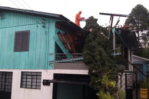 Vendaval em Chapec&oacute; - Boletim 01/07/2020 (11hs)