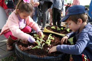 Projeto trabalha atitudes conscientes com as crianças