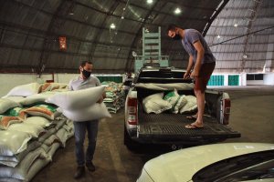 Seguem inscrições para distribuição gratuita de aveia