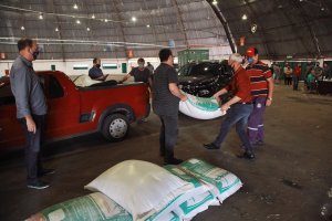 Agricultura distribui semente de aveia para os produtores