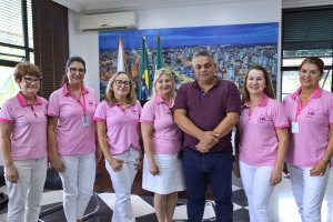 Prefeito recebe diretoria da Rede Feminina de Combate ao C&acirc;ncer
