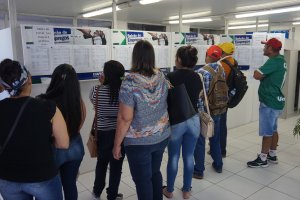Balc&atilde;o de Empregos registra 3 mil atendimentos em um m&ecirc;s
