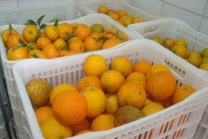 Prefeitura abre inscrições para o PAA 