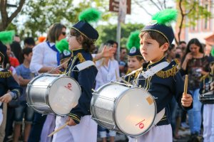 Bandas Escolares: M&uacute;sica como proposta cultural e pedag&oacute;gica