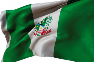 CMDCA divulga orienta&ccedil;&otilde;es para celebra&ccedil;&atilde;o de parcerias