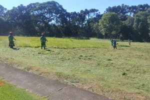 Superintend&ecirc;ncia da Grande Efapi realiza mutir&atilde;o de limpeza