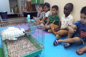 Crianças aprendem sobre o mundo animal