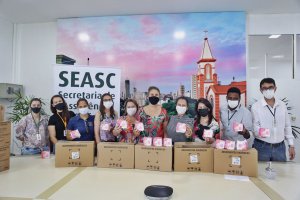 Programa Novo Ciclo vai distribuir 2,5 mil pacotes de absorventes por m&ecirc;s