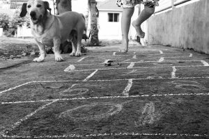 F&eacute;rias V: Cuidados com as mordidas de c&atilde;es