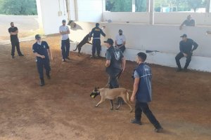Guarda Municipal conclui curso de cinotecnia