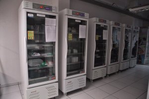 Chapec&oacute; recebe vacinas Covid baby, pedi&aacute;trica e refor&ccedil;o a partir de tr&ecirc;s anos