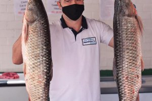 Feira do Peixe Vivo ter&aacute; 23 pontos de venda