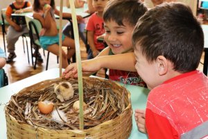 Projeto em CEIM ensina sobre os animais