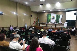 Conselho Municipal de Sa&uacute;de retoma plen&aacute;rias presenciais