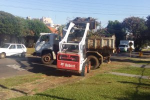 Per&iacute;odo de coleta de galhos inicia no  fim de abril 
