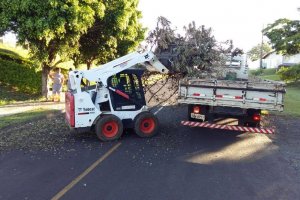 Período de coleta de galhos inicia nesta segunda em Chapecó