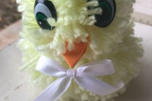 Confec&ccedil;&atilde;o de �Pompom� como ferramenta pedag&oacute;gica em escolas de Chapec&oacute;