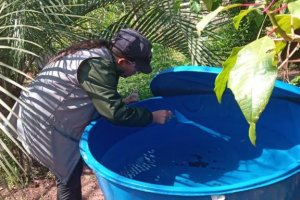 Sa&uacute;de far&aacute; mutir&atilde;o de combate &agrave; dengue e cadastramentos neste s&aacute;bado