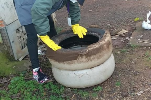 Mutirão da dengue realizou 683 visitas