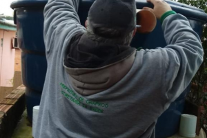 Mutir&atilde;o contra a dengue realizou 628 visitas