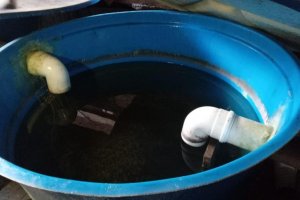 Saúde de Chapecó inicia ação contra a dengue focada na construção civil