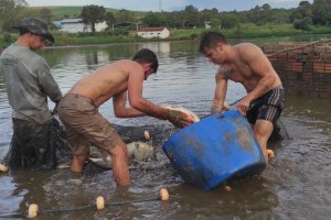 Expectativa de comercialização de 40 toneladas na Feira do Peixe Vivo