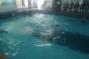 Atletas de nata&ccedil;&atilde;o disputam competi&ccedil;&atilde;o em Ca&ccedil;ador 