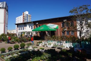 9&ordf; Edi&ccedil;&atilde;o da Feira de Mudas Frut&iacute;feras de Chapec&oacute;