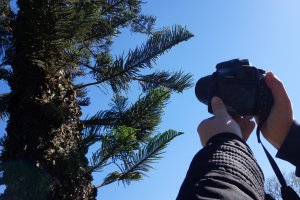 Escola de Artes oferece Oficina de Fotografia