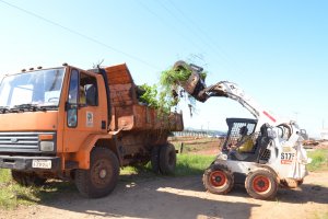 Per&iacute;odo de coleta de galhos inicia no m&ecirc;s de maio
