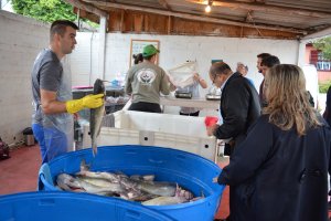 Feiras intensificam venda de peixe na semana santa