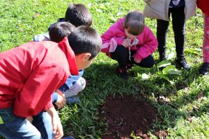 Escola Agropecuária promove VII Semana do Meio Ambiente