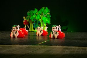 Escola de Artes realiza Espet&aacute;culo de Dan&ccedil;a