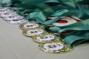 Recursos para o esporte chapecoense em 2018