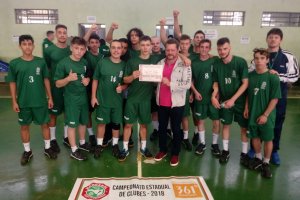 Chapec&oacute; quer recuperar espa&ccedil;o no handebol estadual