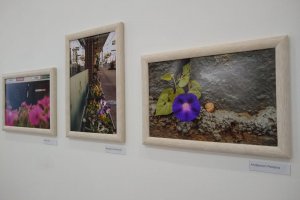 Exposi&ccedil;&atilde;o fotogr&aacute;fica na Escola de Artes