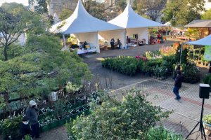 Cerca de sete mil pessoas s&atilde;o esperadas na Feira de Mudas Frut&iacute;feras, Flores e Produtos Coloniais