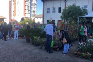 Mais de sete mil pessoas passaram pela Feira de Mudas Frut&iacute;feras, Flores e Produtos Coloniais