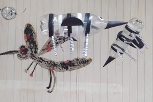 CEIM Pequeno Pensador cria projeto �X&ocirc; Dengue�