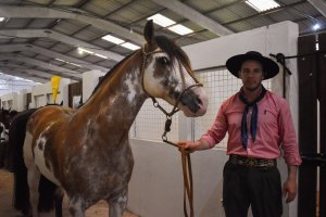Etapa classificat&oacute;ria da Freio de Ouro &eacute; realizada em Chapec&oacute;