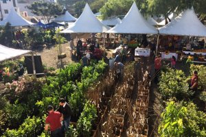 11&ordf; Feira de Mudas e Flores de Chapec&oacute; acontece neste final de semana 