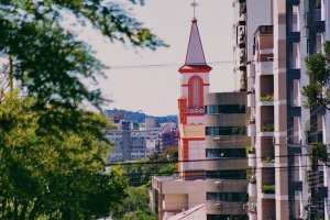 Poda de árvores na avenida Getúlio Vargas