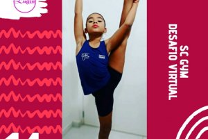 Ginastas de Chapecó participam de desafio virtual