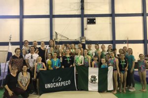 Gin&aacute;stica Art&iacute;stica apresenta resultados em torneio estadual