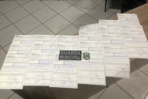 Relat&oacute;rio de Atendimentos da Guarda Municipal e Vigil&acirc;ncia Sanit&aacute;ria